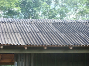 Original roof