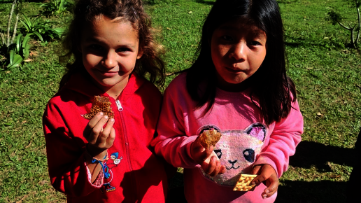 Program 1: Apiculture Project - Misiones
