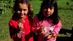 Program 1: Apiculture Project - Misiones