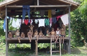 Mata no Peito: Protect & Replant Brazilian Forests