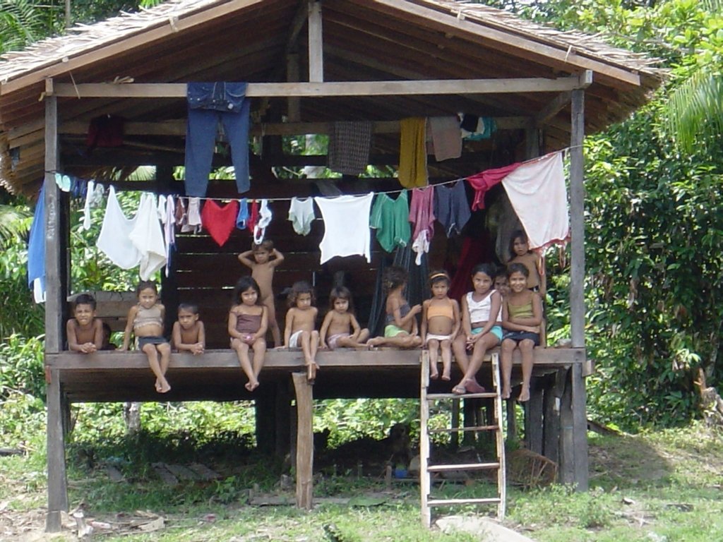 Mata no Peito: Protect & Replant Brazilian Forests