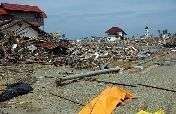 Thailand Tsunami Relief Fund
