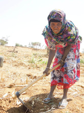 Mama Khadija working hard on her farm.