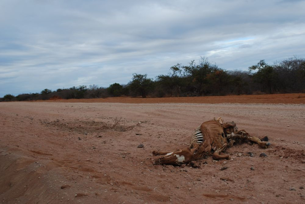 Provide famine relief to families in Somalia