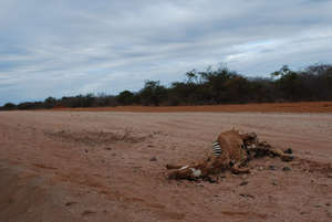The road to Somalia