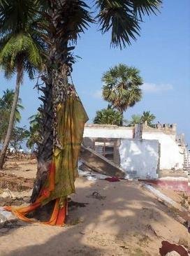 Urgent Appeal-- Tsunami Relief for Sri Lanka