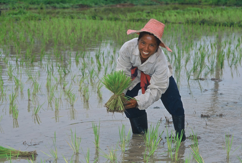 Help Women Feed the World