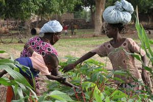 Women Farmers