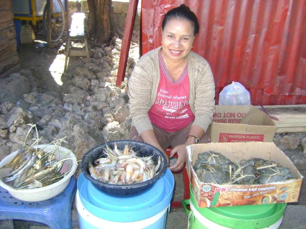 1065 MicroLoans for Rural Poor, Sumba (Indonesia)