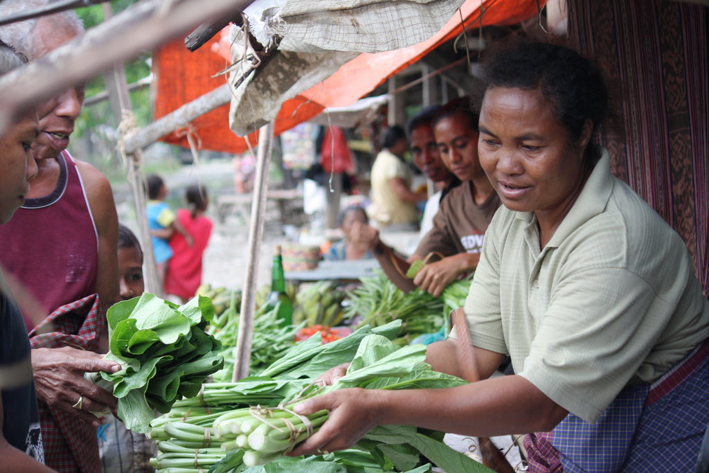 1065 MicroLoans for Rural Poor, Sumba (Indonesia)