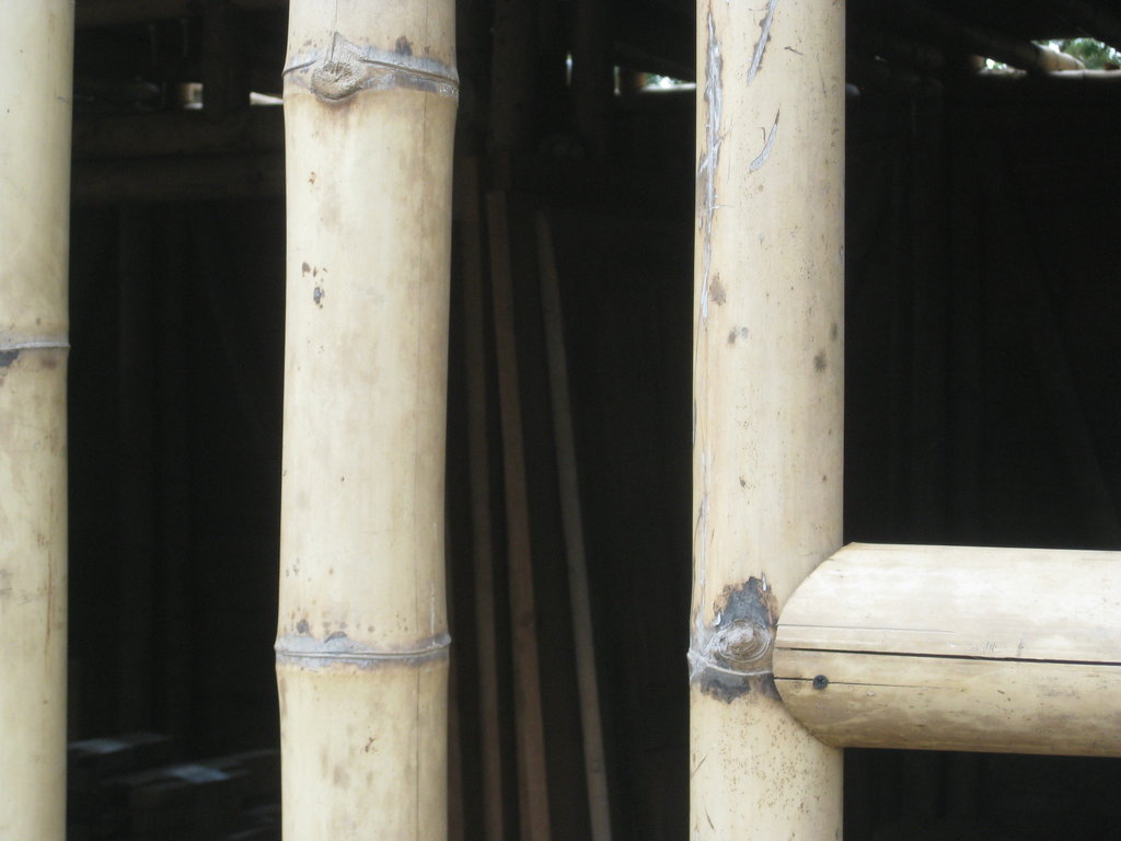 Bamboo Shelter for Battered Women in Nicaragua