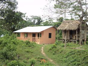Before and After: CO2 Bambu's Impact