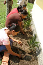 Staff and volunteers each dedicate a plant.