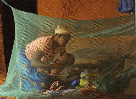 Prevent Malaria for 300 needy children in Gayaza