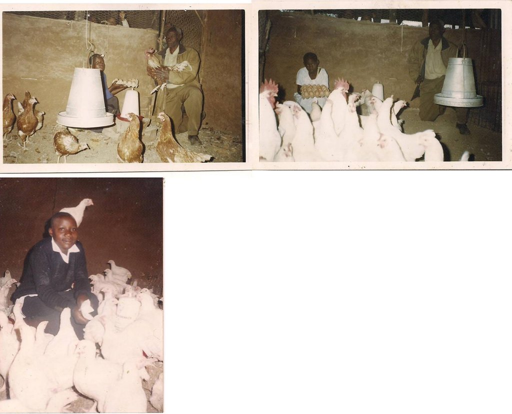 Build a Poultry Project for 500 Kenyan Women