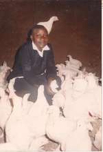 a  poultry project  for  500  kenyan  women