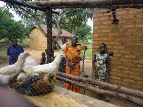 Build a Poultry Project for 500 Kenyan Women