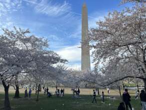 A DC photo sent to incarcerated members