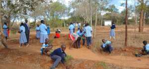 DNRC beneficiary planting tree seedlings given
