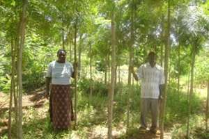 Proud Farmer With Trees She Planted in 2008