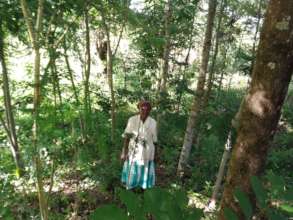 DNRC farmer in her 4 year old woodlot
