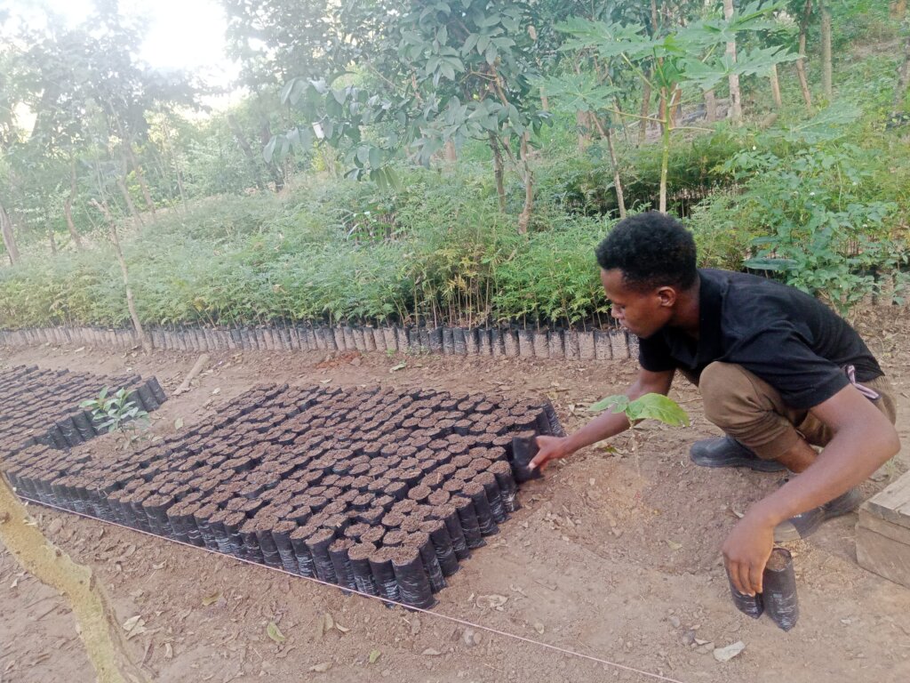 DNRC tree Nursery