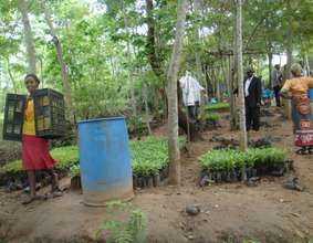 Farmers carrying away their new tree seedlings