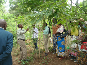 Nicholas Syano's Tree Care and Management Training