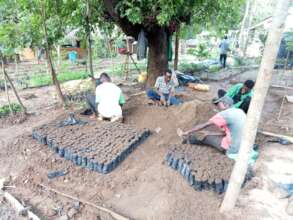 DNRC staff potting