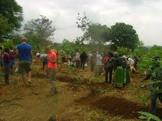 A Food Forest for Mauni Primary School