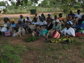 Making baskets from tree and bus fibers