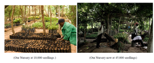 Nursery Growth Since Global Giving Campaign Began