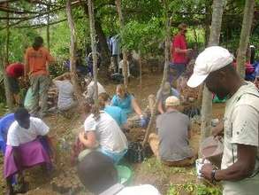 Potting Saplings in the DNRC Nursery