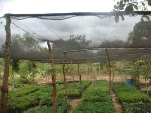 New shades over the tree nursery