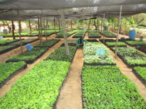 DNRC tree Nursery