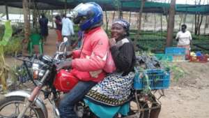 farmer picking seedlings with a motorbike