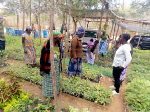 farmer group being trained at DNRC tree nursery