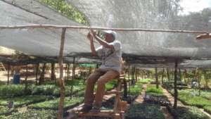 DNRC staff putting up shade net fox expansion
