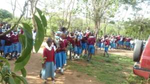 school chidren picking trees