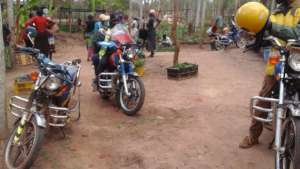 more motorbikes picking saplings