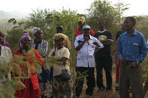 Training on the Demonstration Farm