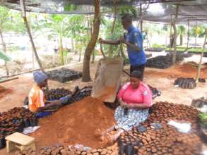 potting activity in the nursery