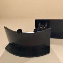 Where is kitty