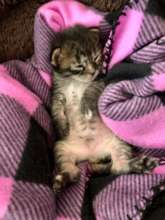 Just resting my eyes