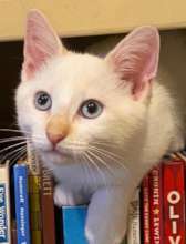 Read me a story