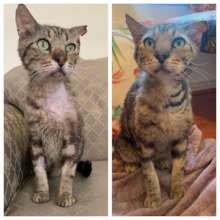 Before and After