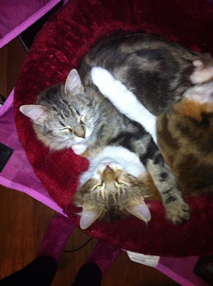 Christy & Holly