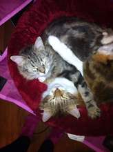 Christy & Holly