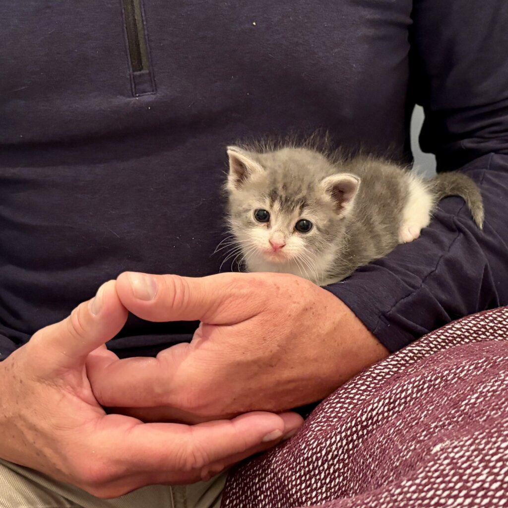 Milk Crate Female Bottle Baby