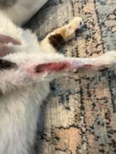 Healing after visiting Specialist